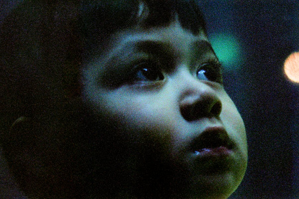 kin-chan-aquarium-03