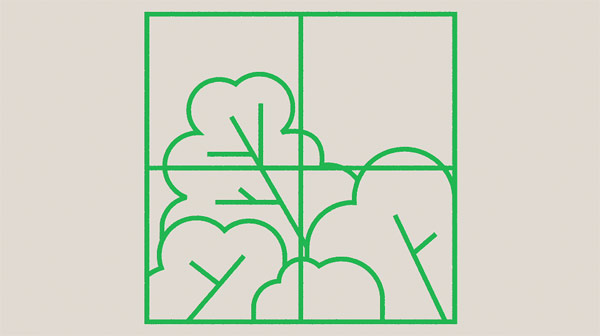 shapeanimation-johnnykelly