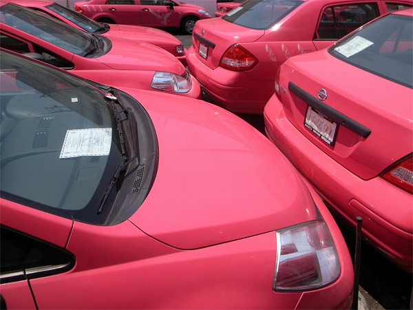 Ariel-Schlesinger-02