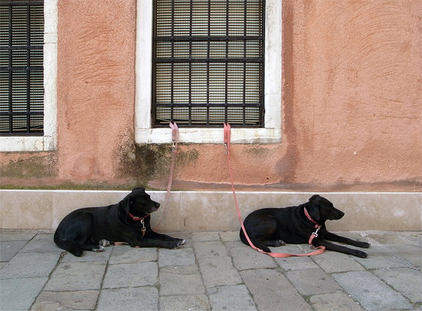 Ariel-Schlesinger-05