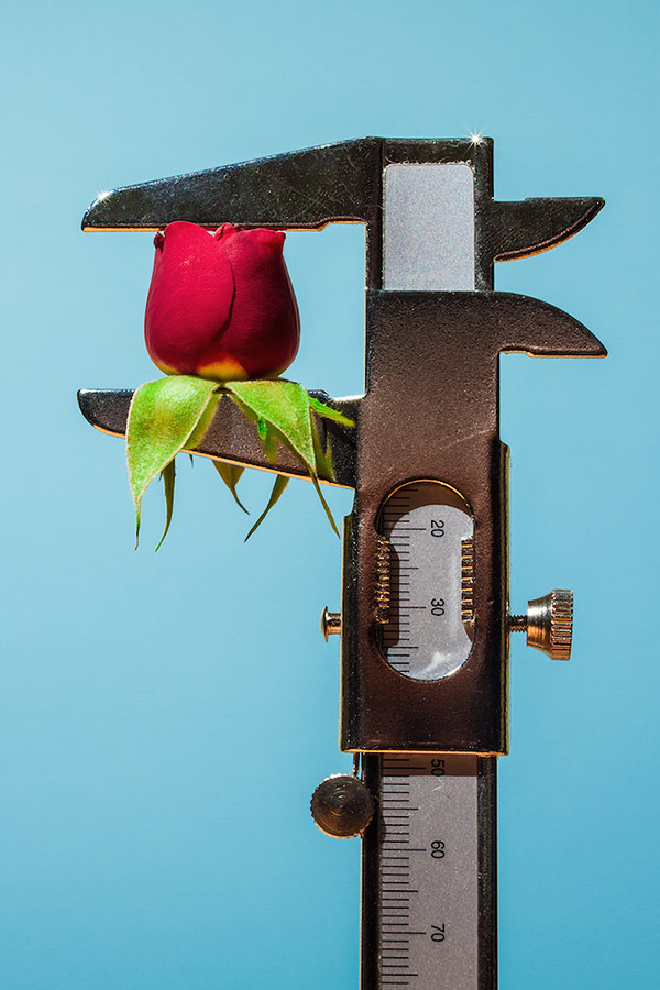 Maurizio-Di-Iorio_15