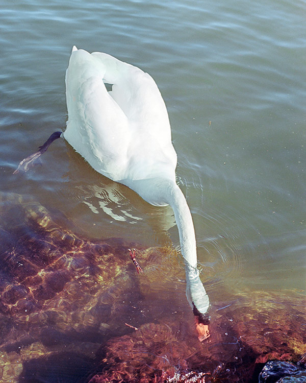 Benjamin Freedman BOOOOOOOM! CREATE * INSPIRE * COMMUNITY * ART