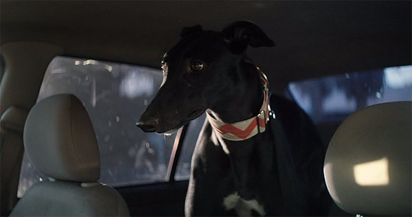 hannah-georgas-enemies