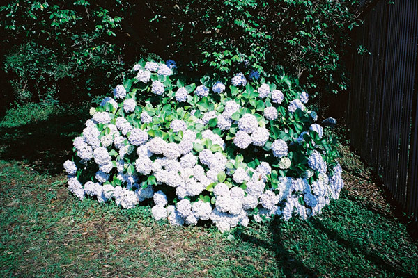 marcelcastenmiller-09