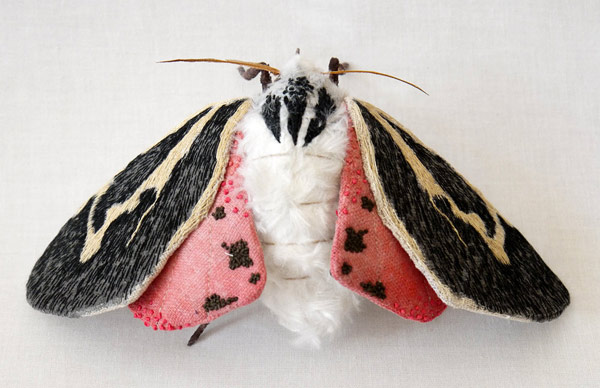 yumi-okita-moths-02