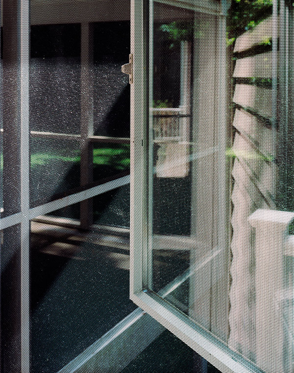 Steven-Paneccasio003