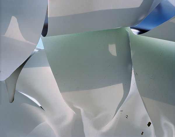 Steven-Paneccasio006