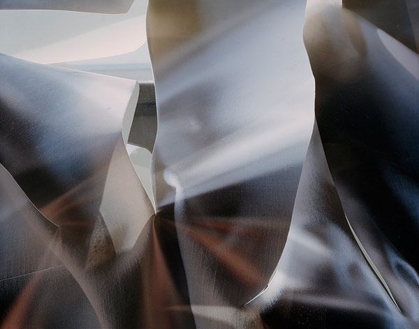 Steven-Paneccasio007