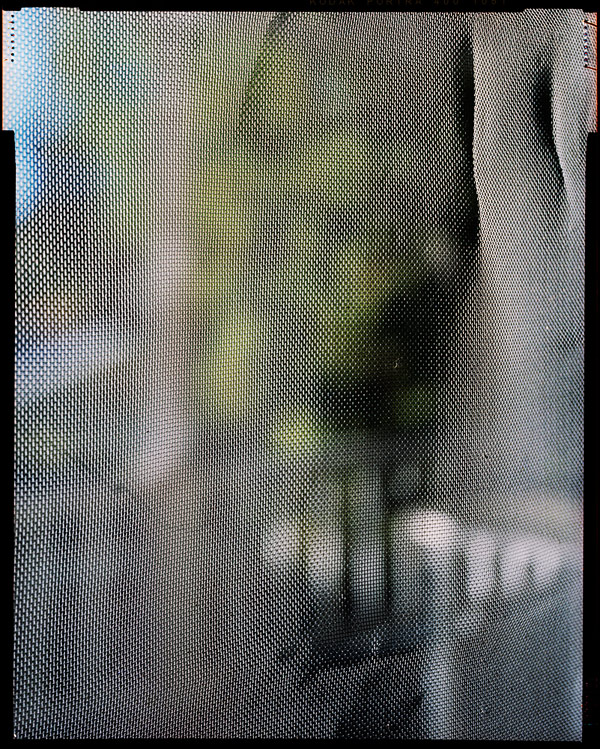 Steven-Paneccasio011