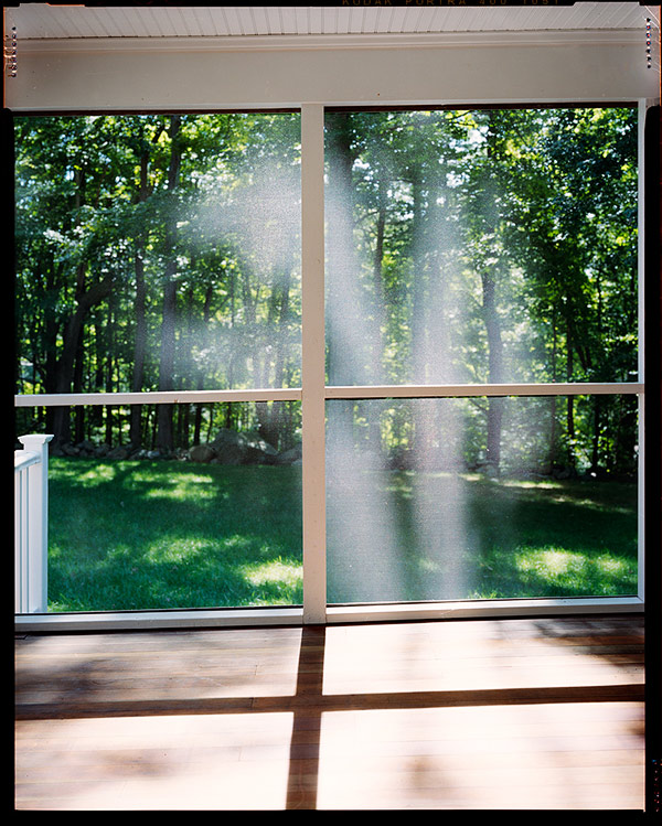 Steven-Paneccasio012