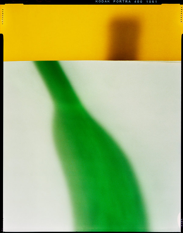 Steven-Paneccasio013