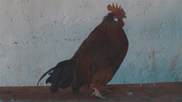 clemens-purner-bhutan2