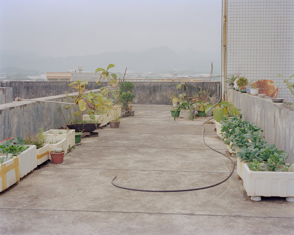 jiehao-su003