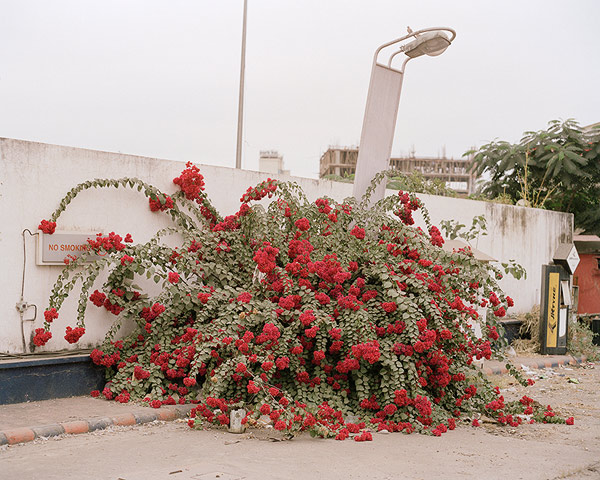 Sebastian-Forkarth03