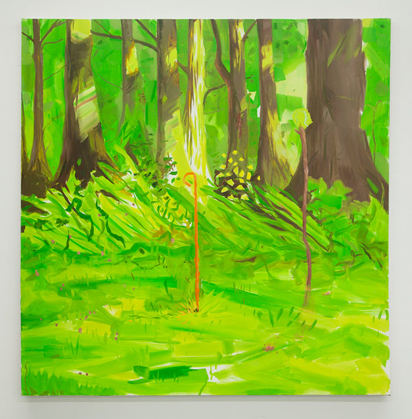 estebancabezadebaca04