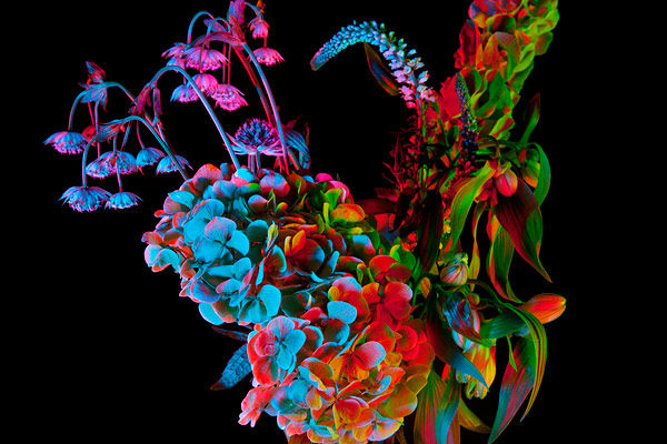 rebecca-Scheinberg01