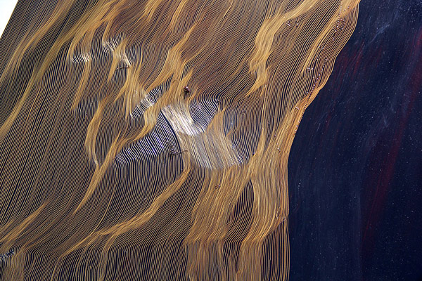 john-franzen-breath-01