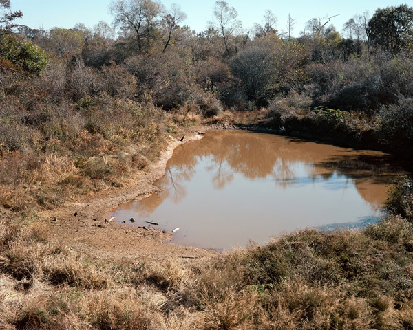 Mud-Pond-No.-1_16