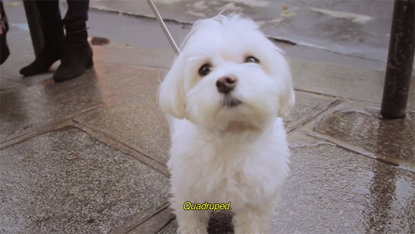 caroline-koning-lovestories1