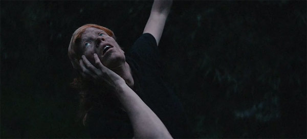 howling-stolethenight