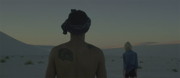 wakeowl-buffalo-video