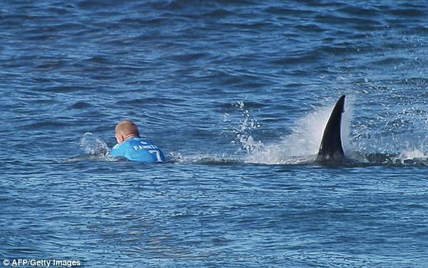 mickfanning-sharkattack1