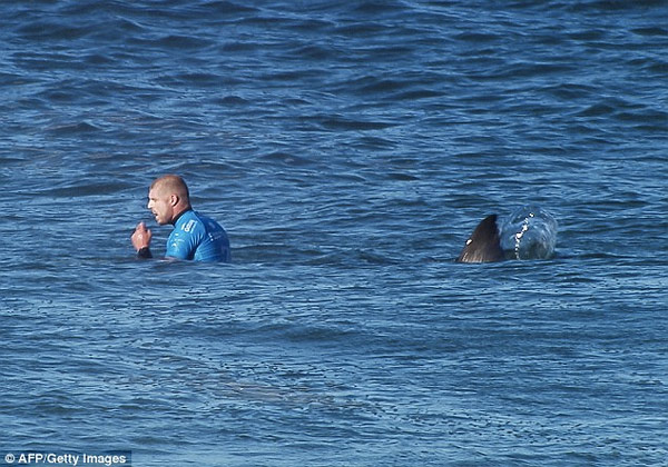 mickfanning-sharkattack2