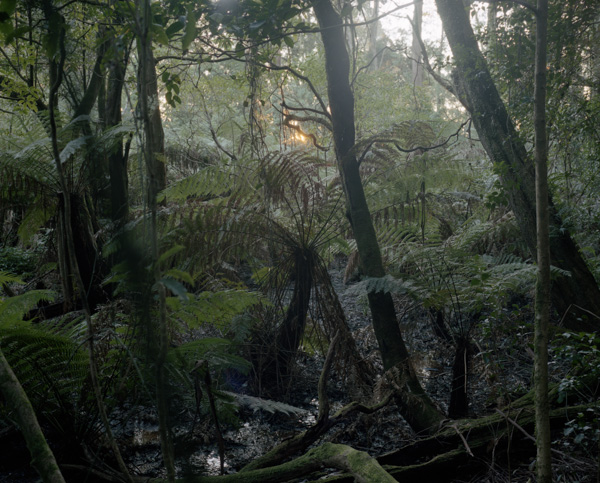 tropicale_woutervandevoorde-12-2