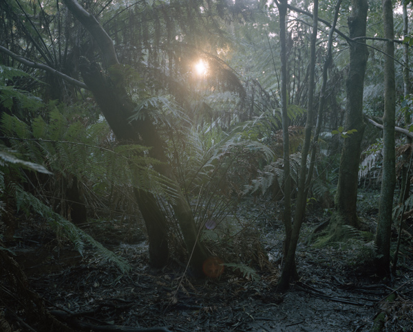 tropicale_woutervandevoorde-13-2