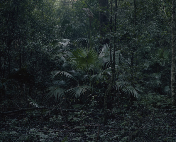 tropicale_woutervandevoorde-3-2