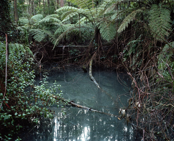 tropicale_woutervandevoorde-6-2