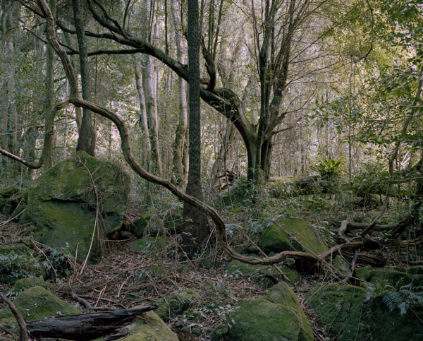 tropicale_woutervandevoorde-7-2