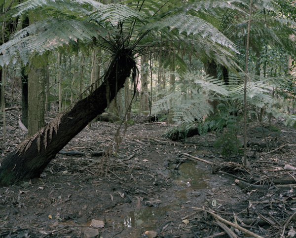 tropicale_woutervandevoorde-9-2