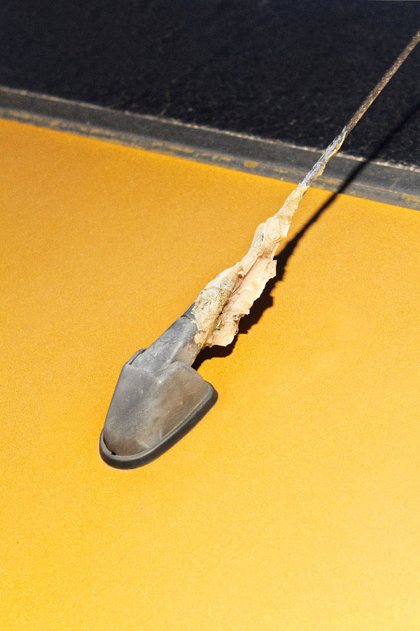 Ronni_Campana_Fixed_Badly_06_700