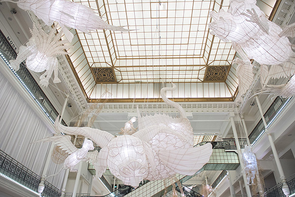 weiwei5