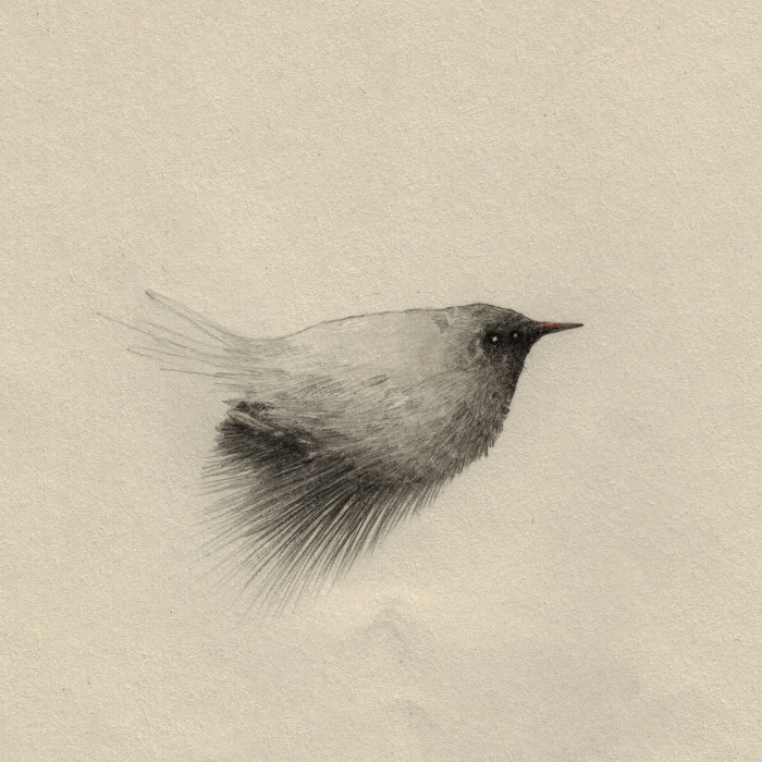 artist-andrew-smith03