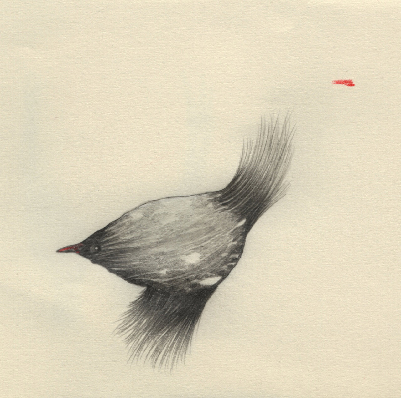 artist-andrew-smith04