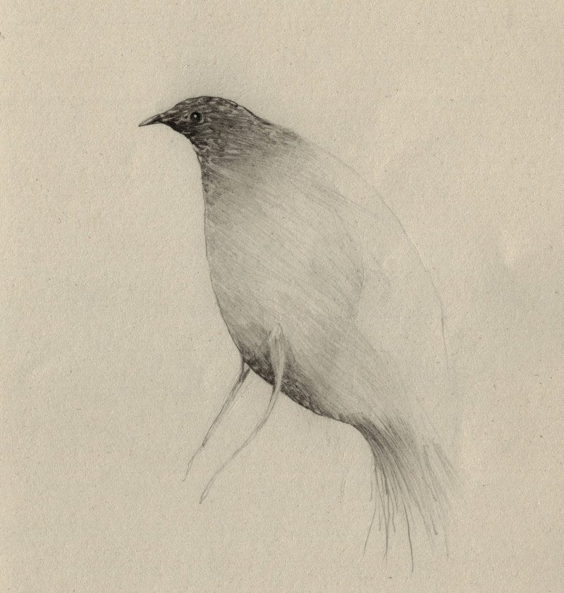 artist-andrew-smith05