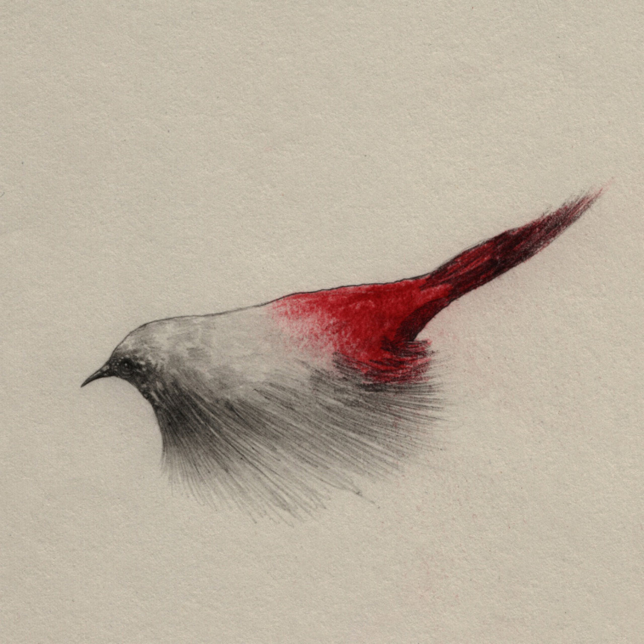 artist-andrew-smith09