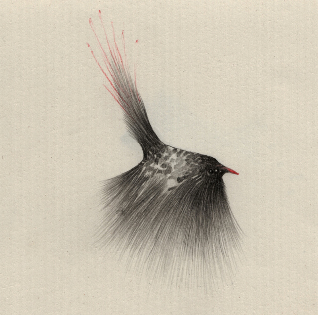 artist-andrew-smith10