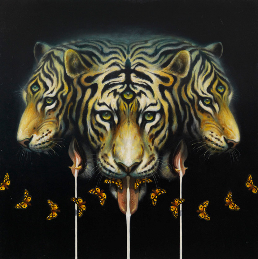 Wittfooth11