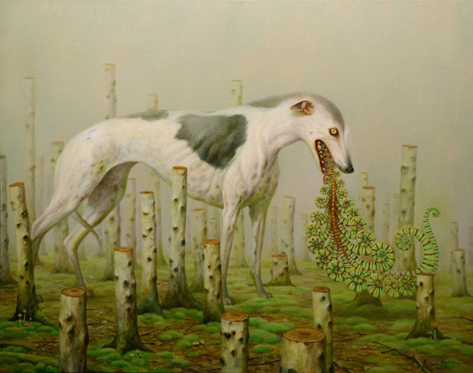 Wittfooth4