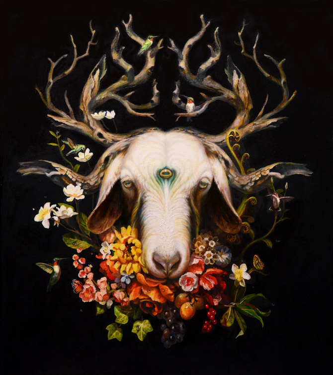 Wittfooth5