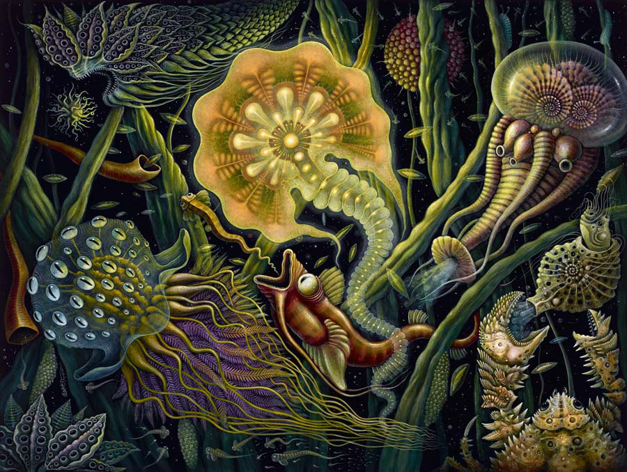 robert-steven-connett02