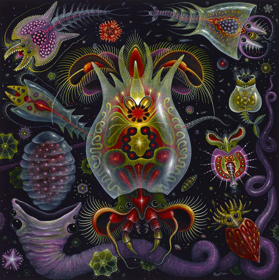 robert-steven-connett03