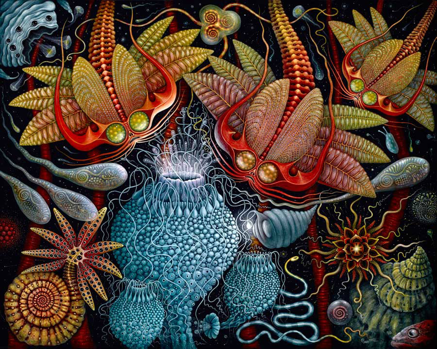 robert-steven-connett04