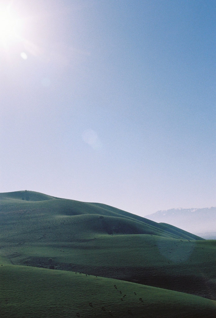 ning-kai-sabrina-scarpa25