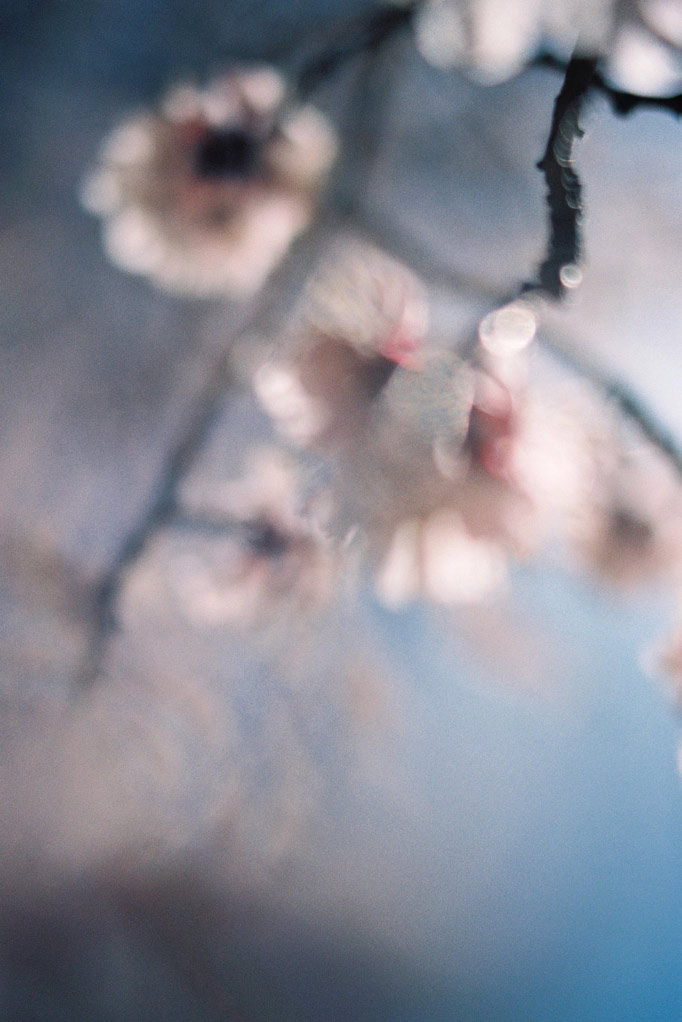 ning-kai-sabrina-scarpa27