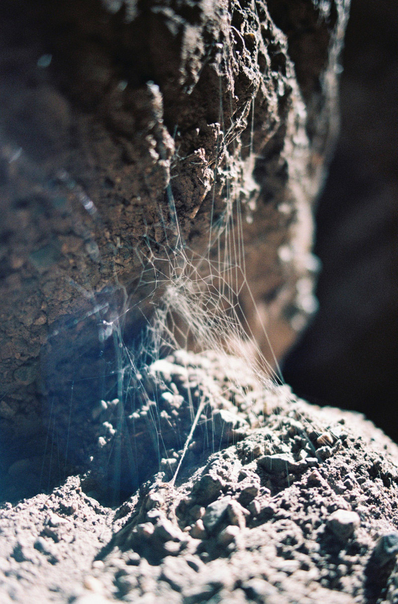 ning-kai-sabrina-scarpa3