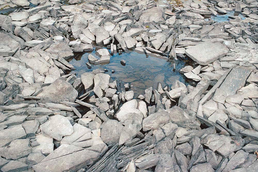 ning-kai-sabrina-scarpa32